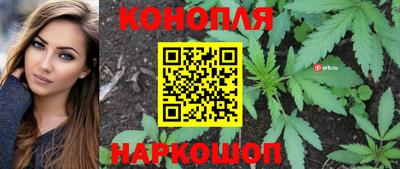 мдпв Ирбит